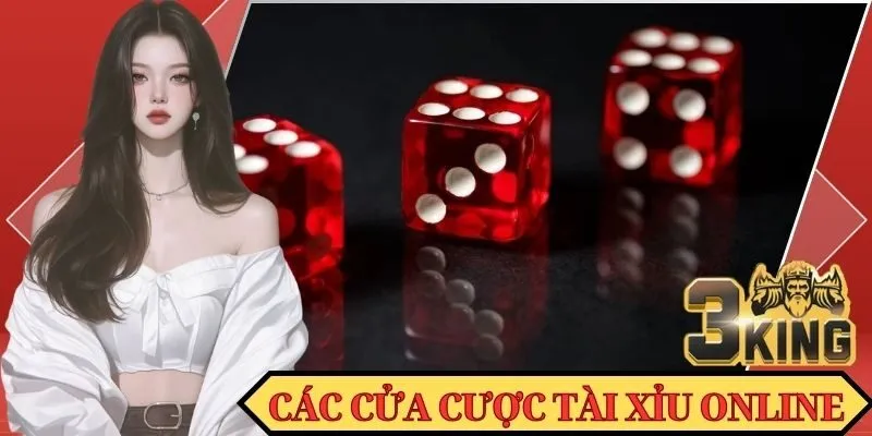 Một vài cửa cược Tài Xỉu online thông thường hiện nay