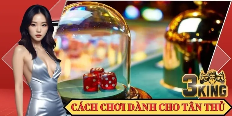 Cách chơi dành cho tân thủ