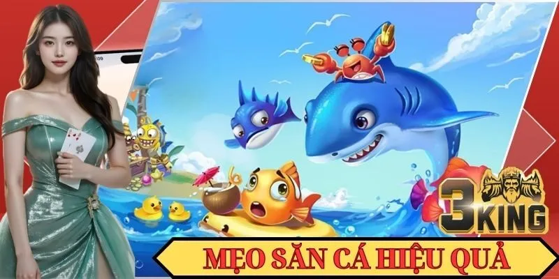Vài kinh nghiệm Bắn Cá ZingPlay hiệu quả dành cho bạn