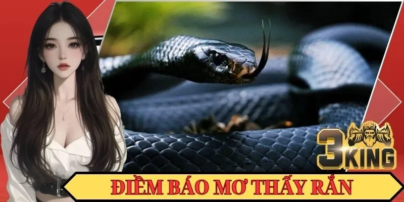 Mộng mị gặp rắn trong mơ cho thấy điềm báo tốt hay xấu?