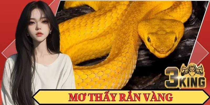 Bắt gặp rắn vàng trong giấc mộng bạn sẽ gặp được sự may mắn