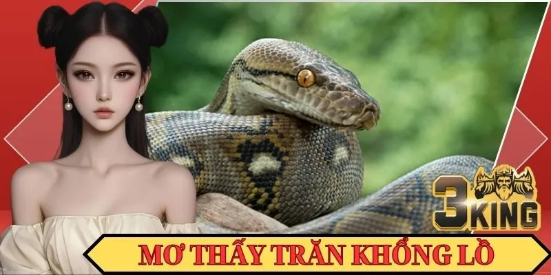 Mộng mị thấy trăn khổng lồ mà bạn nên nắm rõ