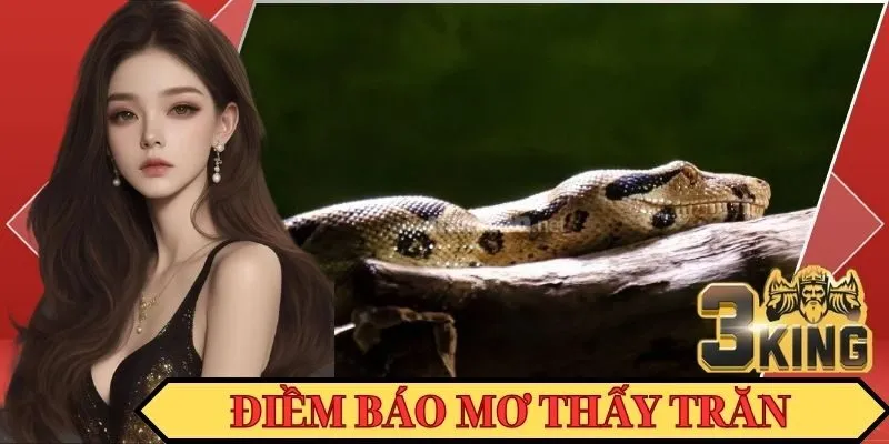 Ý nghĩa liên quan đến giấc mộng thấy trăn mà bạn nên nắm rõ