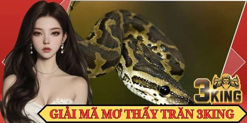 Mơ thấy trăn có hai con đang quấn nhau thể hiện điềm báo về tình yêu