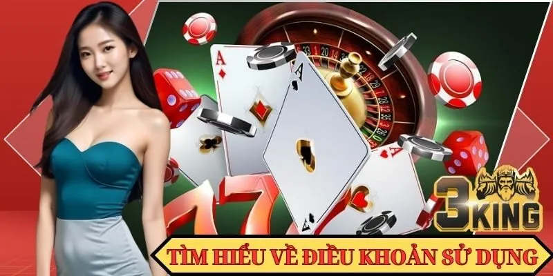 Tìm hiểu về điều khoản sử dụng 3KING